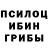 Псилоцибиновые грибы мухоморы Aarambh Praveen