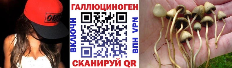 Псилоцибиновые грибы ЛСД  Гаврилов Посад 